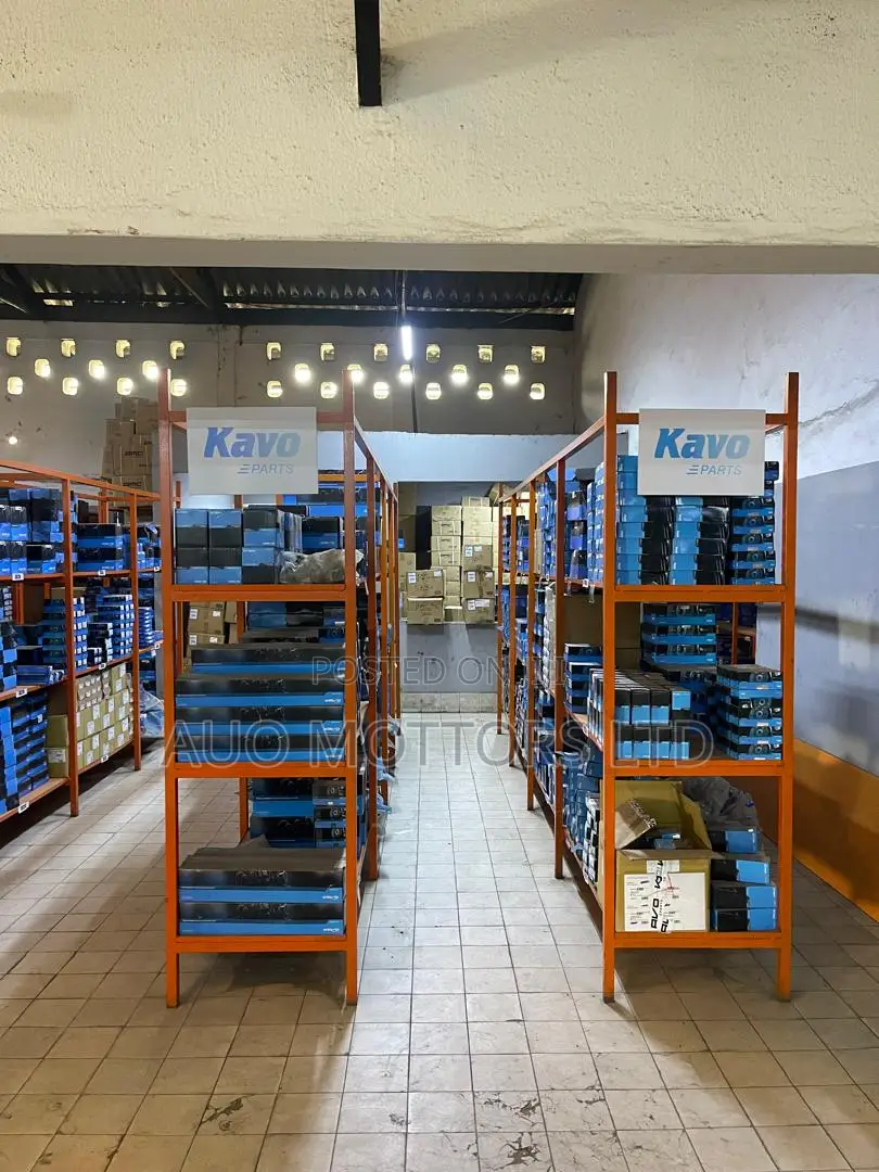 Kavo Shock Absorbers