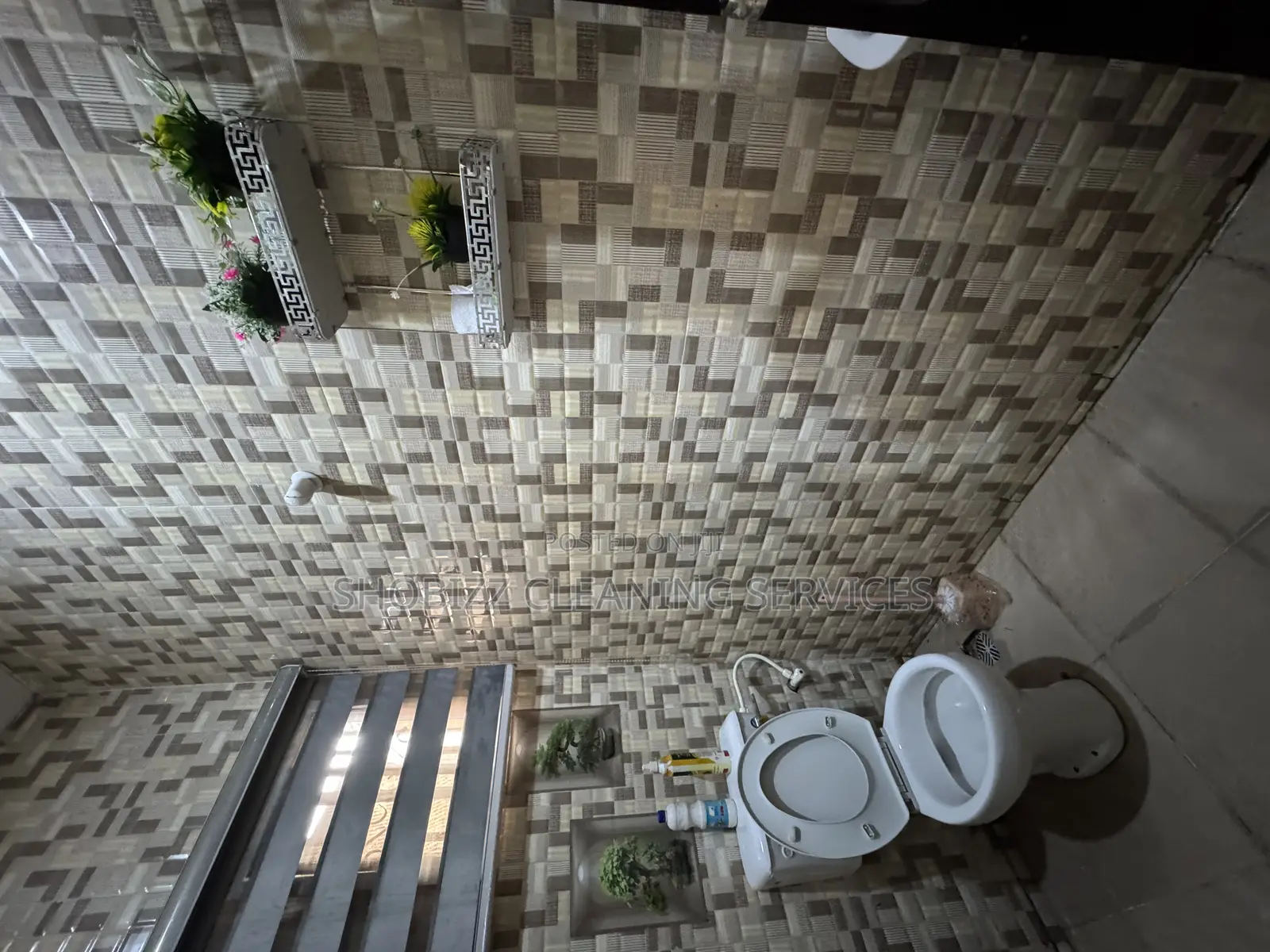 Professional Toilet Cleaning /Post-Cleaning