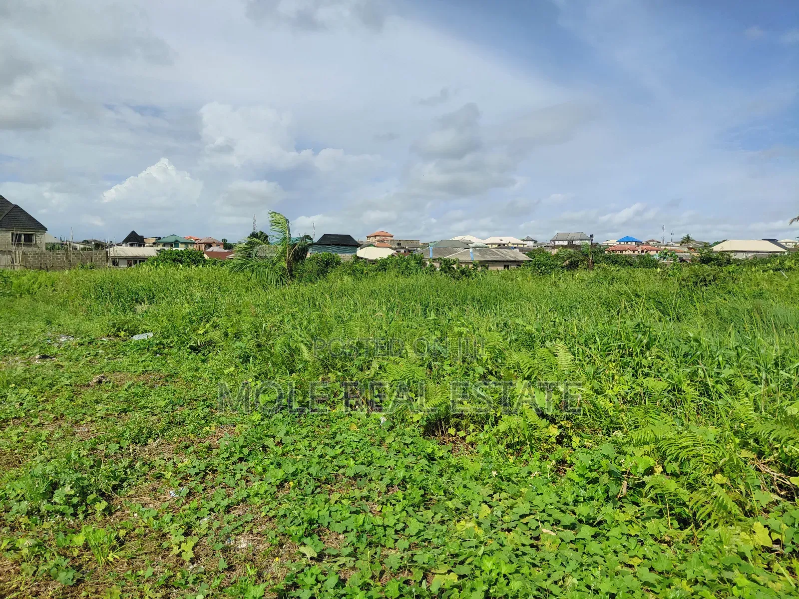 60ft by 120ft (Full Plot ) Sale/Lease Baptist Ijegemo