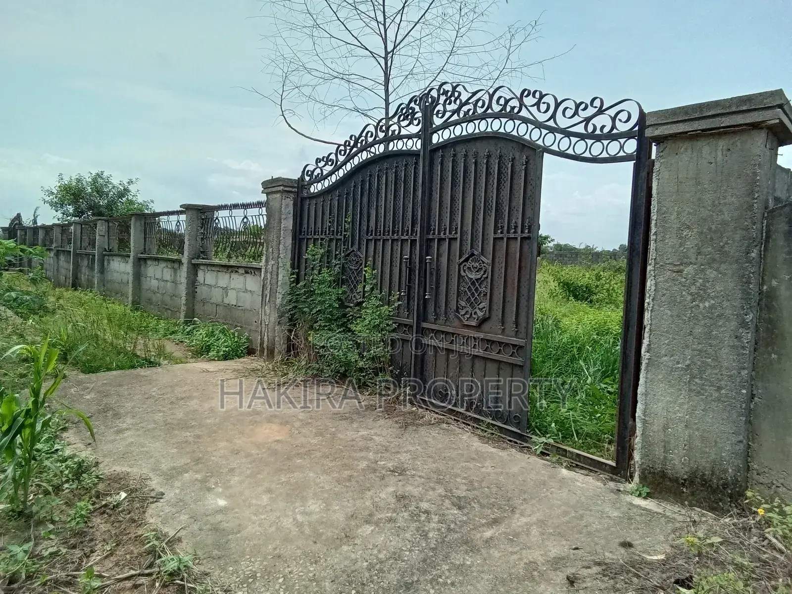 Cheapest Full Plot of Land in Ikorodu at Elepe