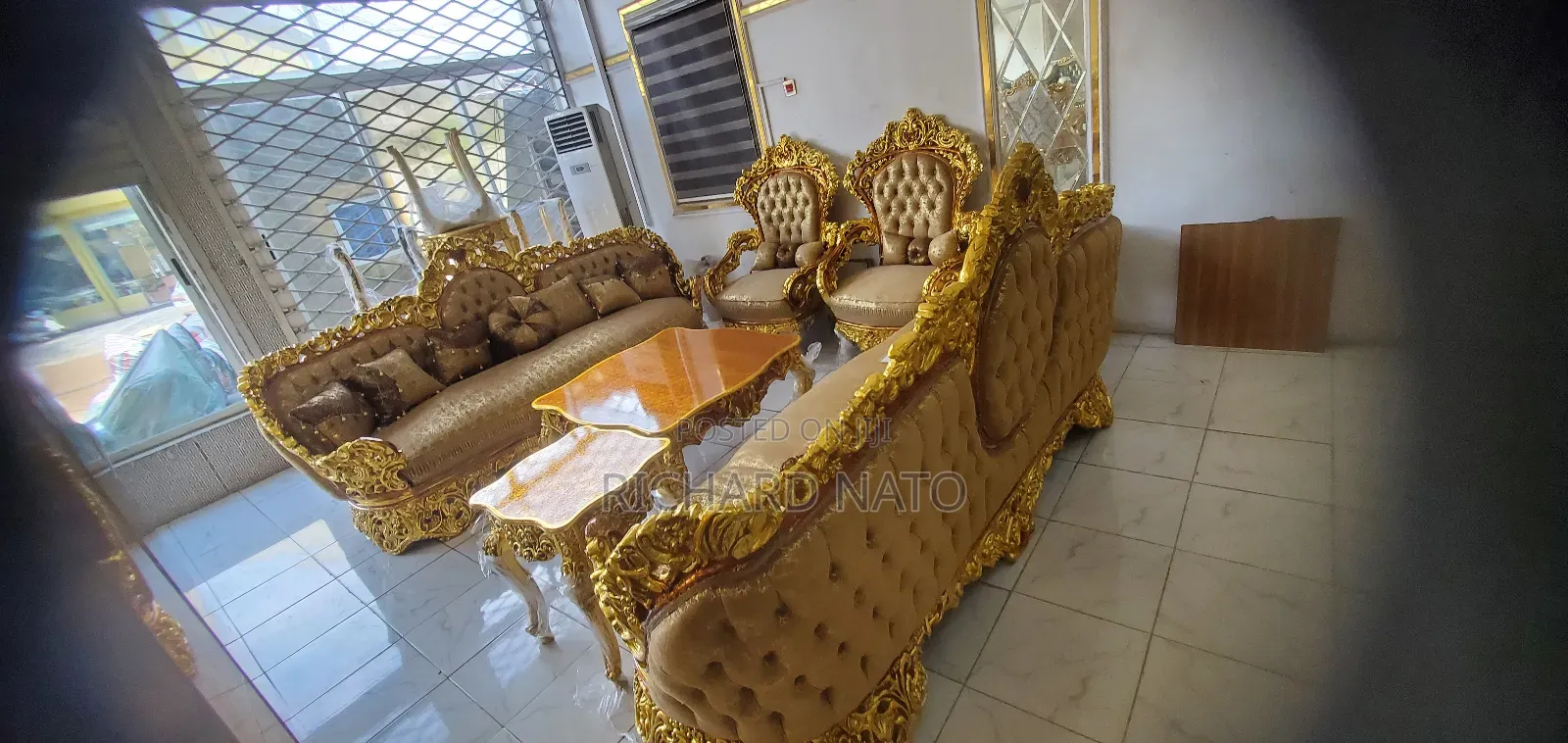 Treasure of Luxury Sofa
