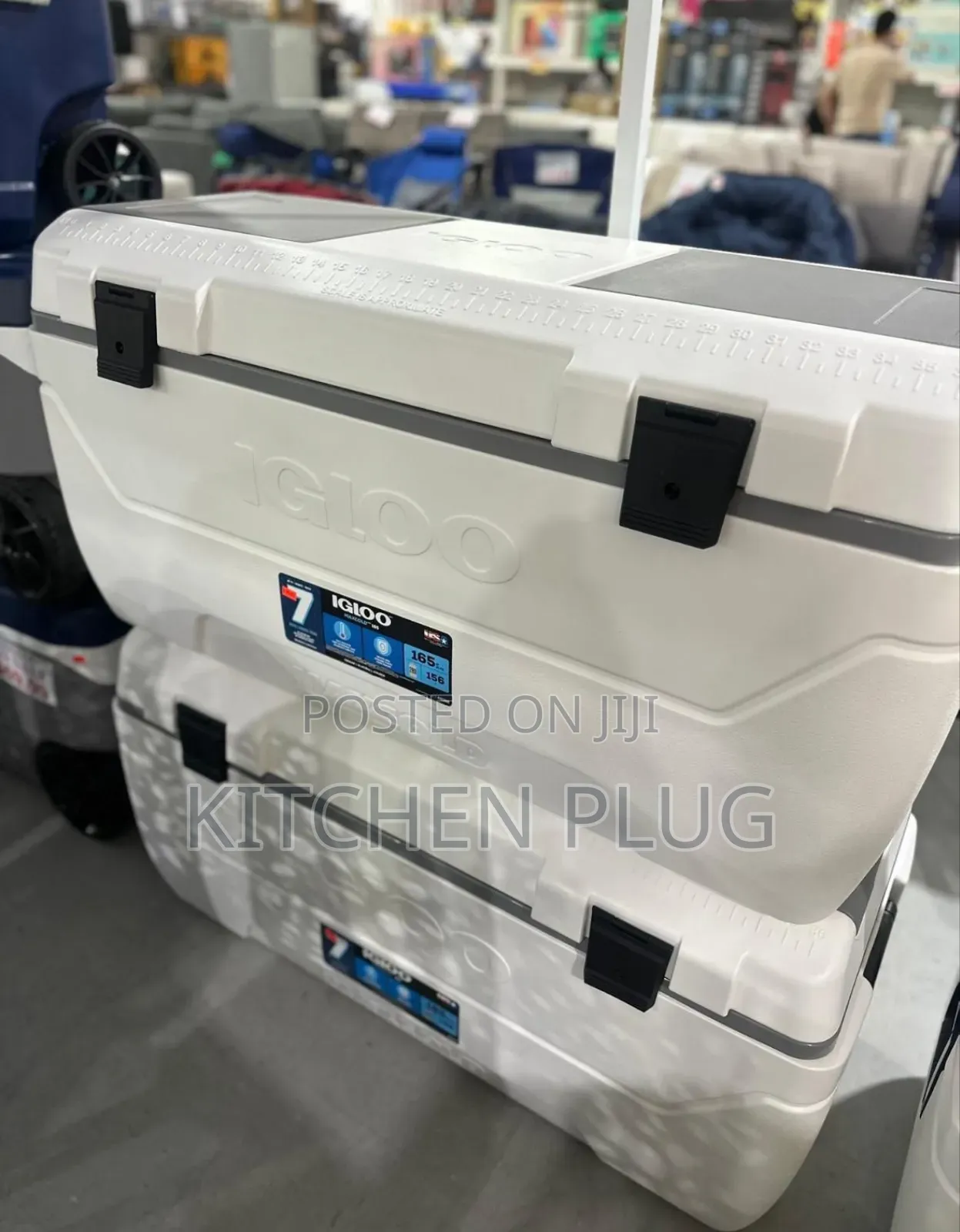 Igloo 165 Quart Maxcold Chest Ice Cooler With Butterfly Access Hatch,