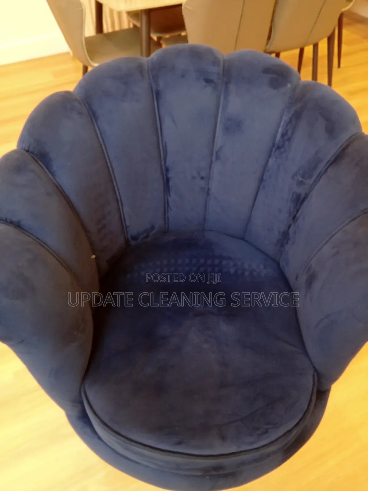 Update Cleaning-Your #1 Upholstery Expert Where Clean Meets Excellence