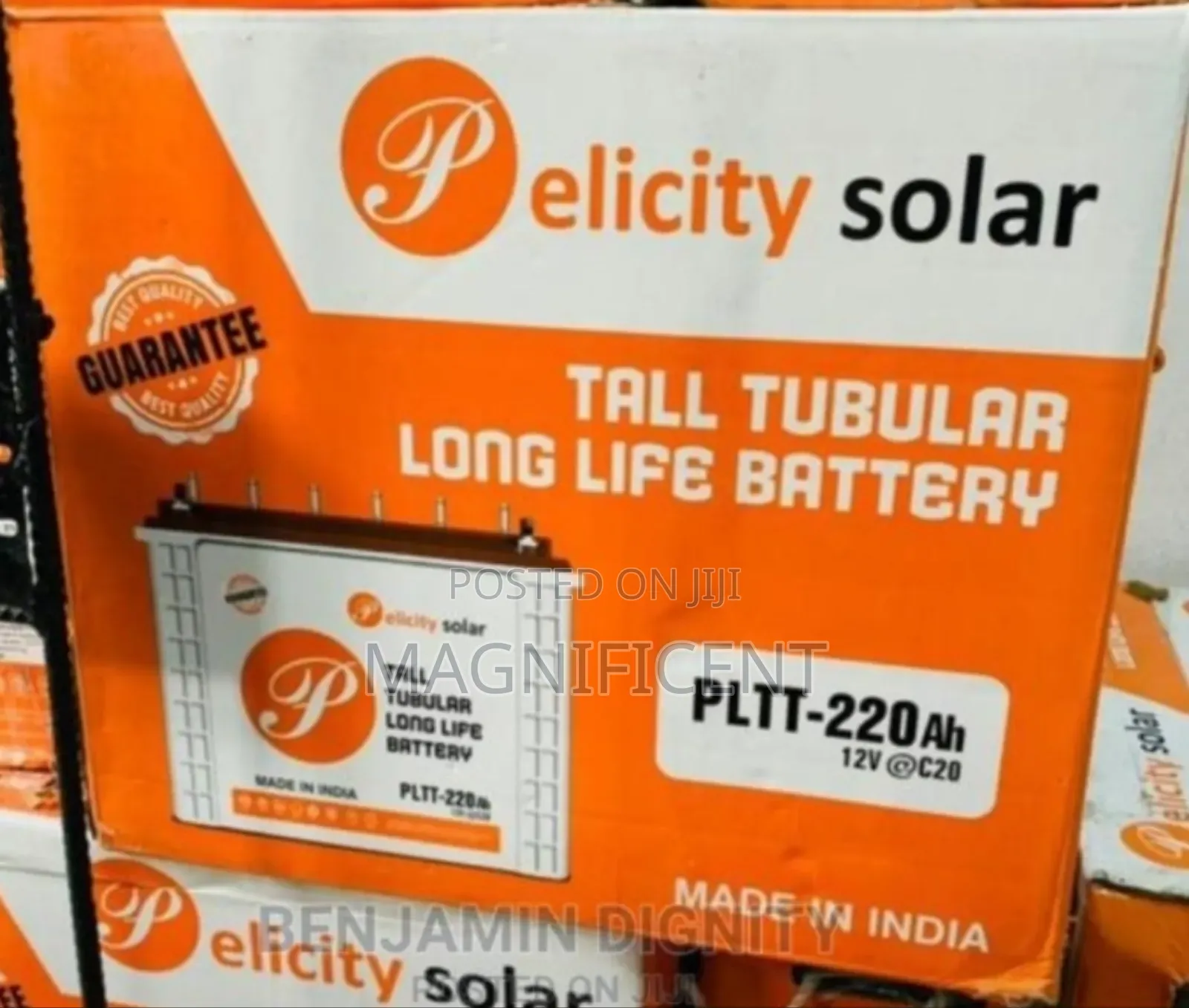 220a Fecility Tubular Battery