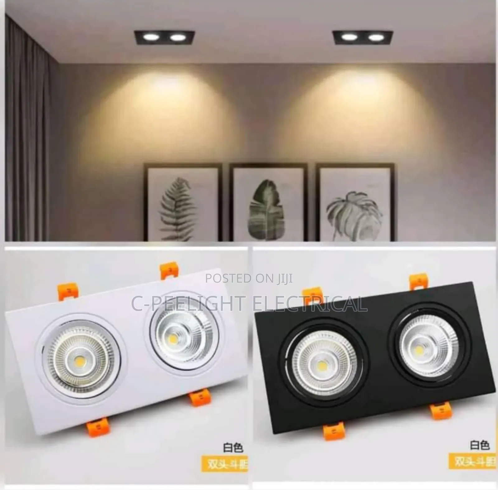 2in1 Led Recess Light