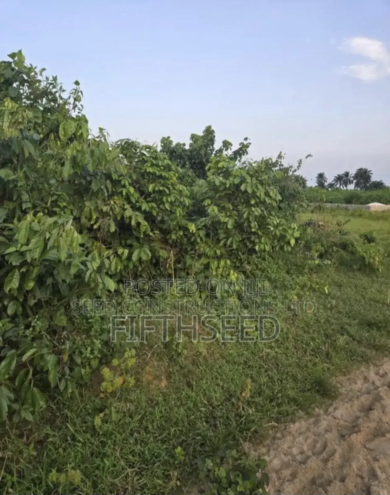 Four Plots of Land for Sale at the Banana High Land of Portharcourt