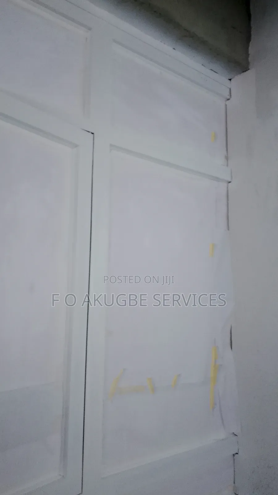 Professional Spray Painter