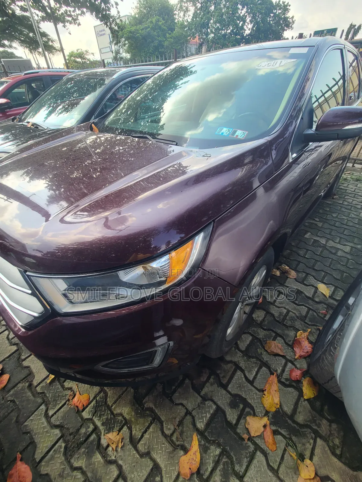Ford Edge 2018 Burgundy