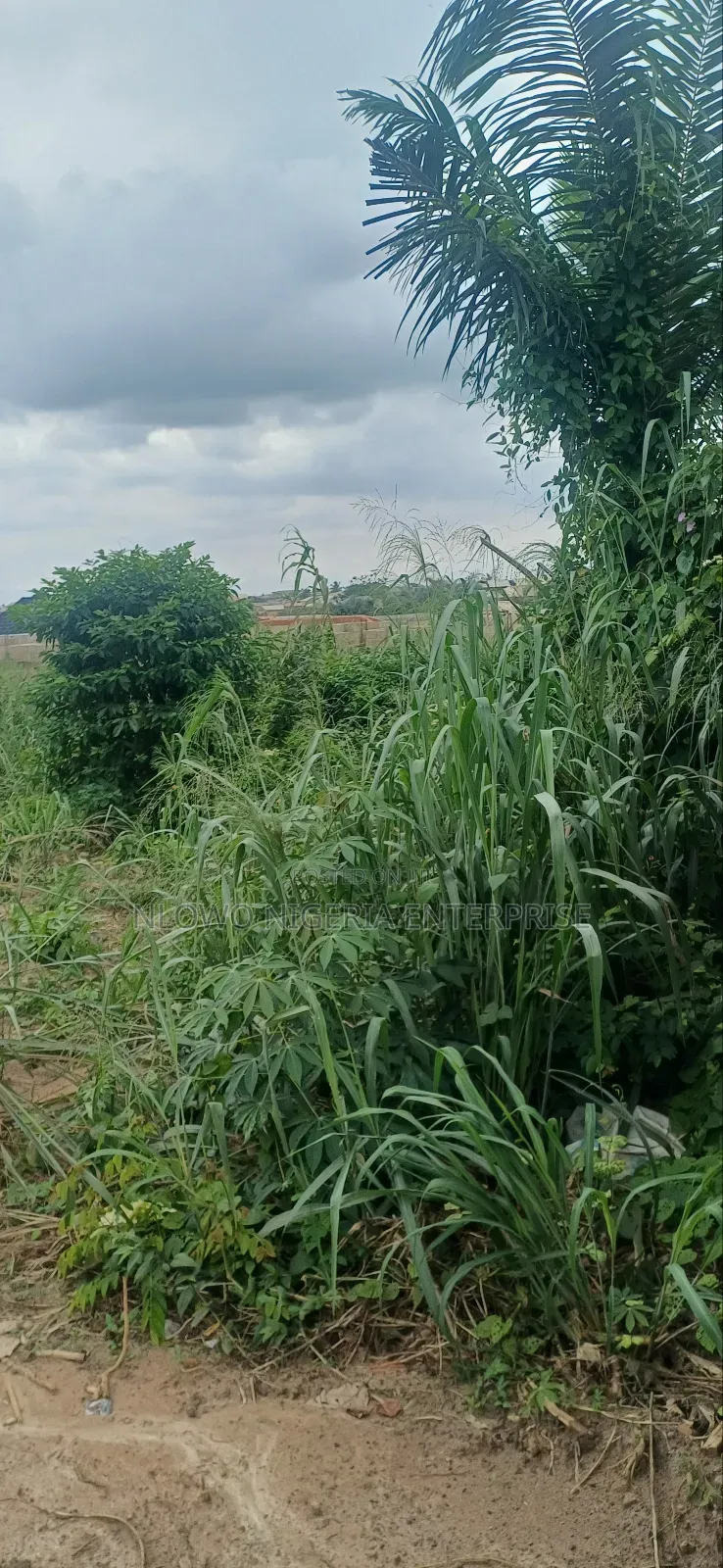 For Sale Full Plot Land at Kajola Estate Igbolomu, Agric Ikorodu Lagos