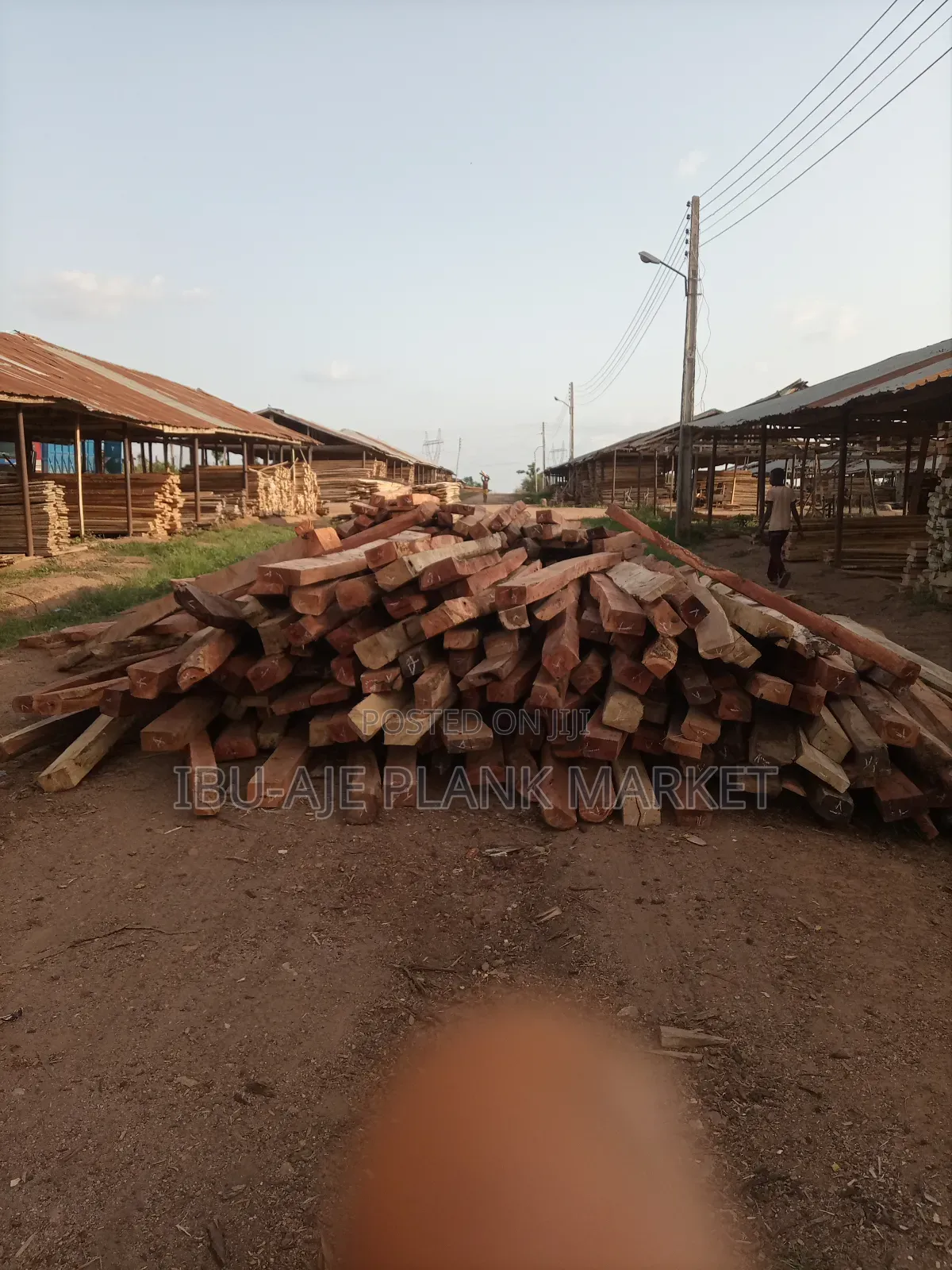 Ayin or Iron Woods for Your Roofing Purposes