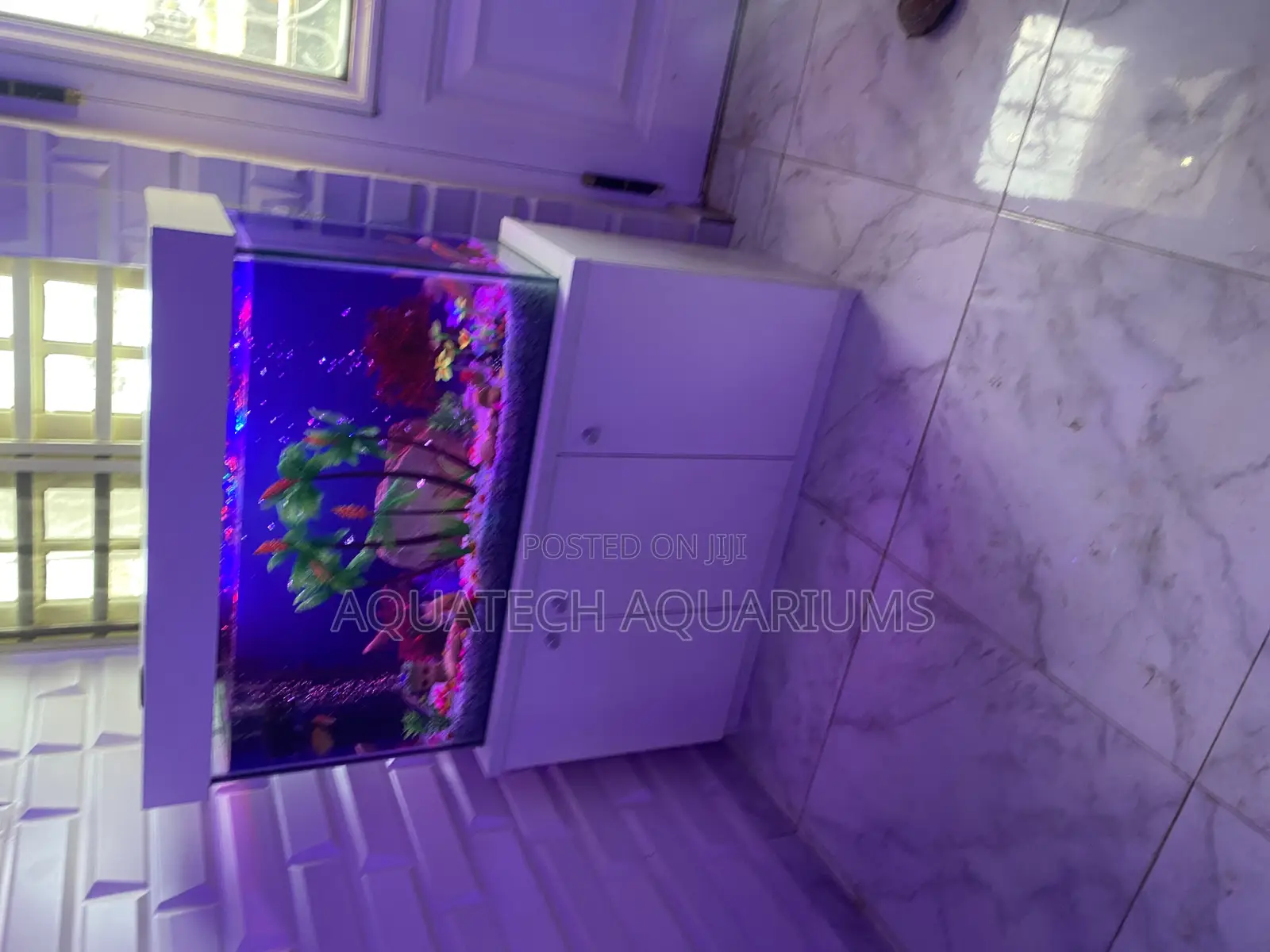 Aquarium With Stand