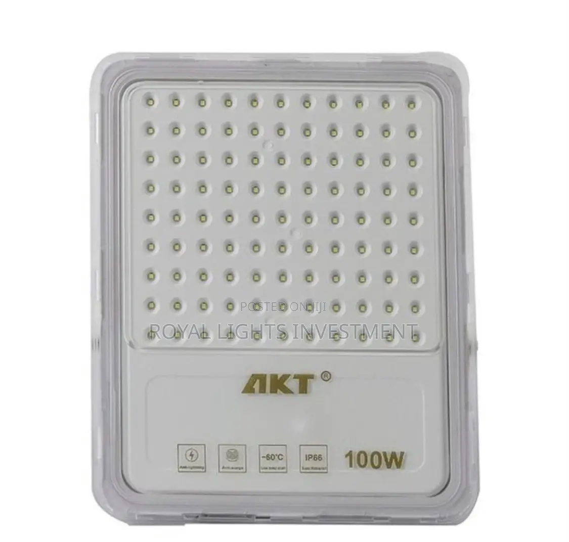 100 Watts Akt Flood Light