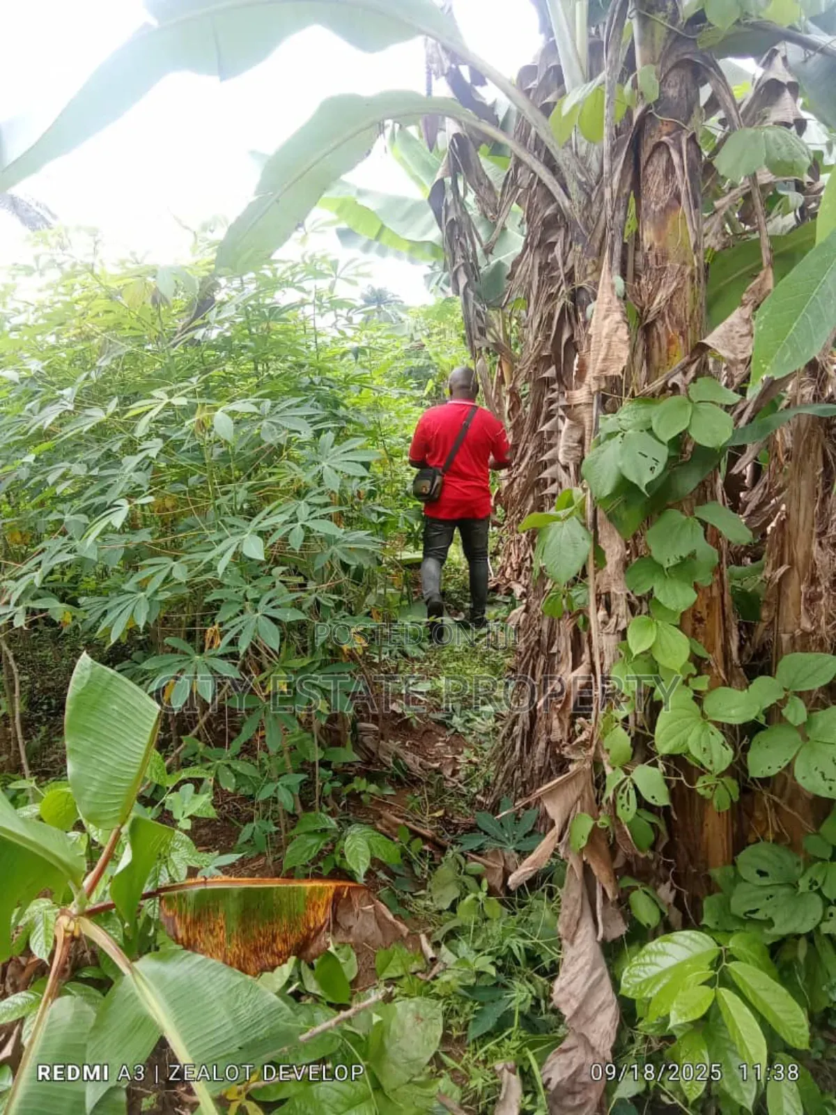 One and Half Plot of Land Omagwa Ph
