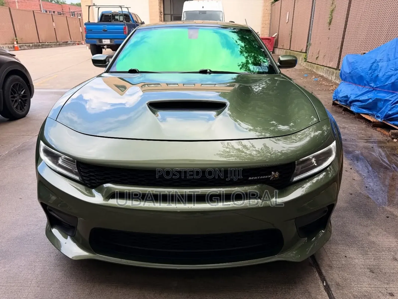 Chameleon Green Tint Installation Service