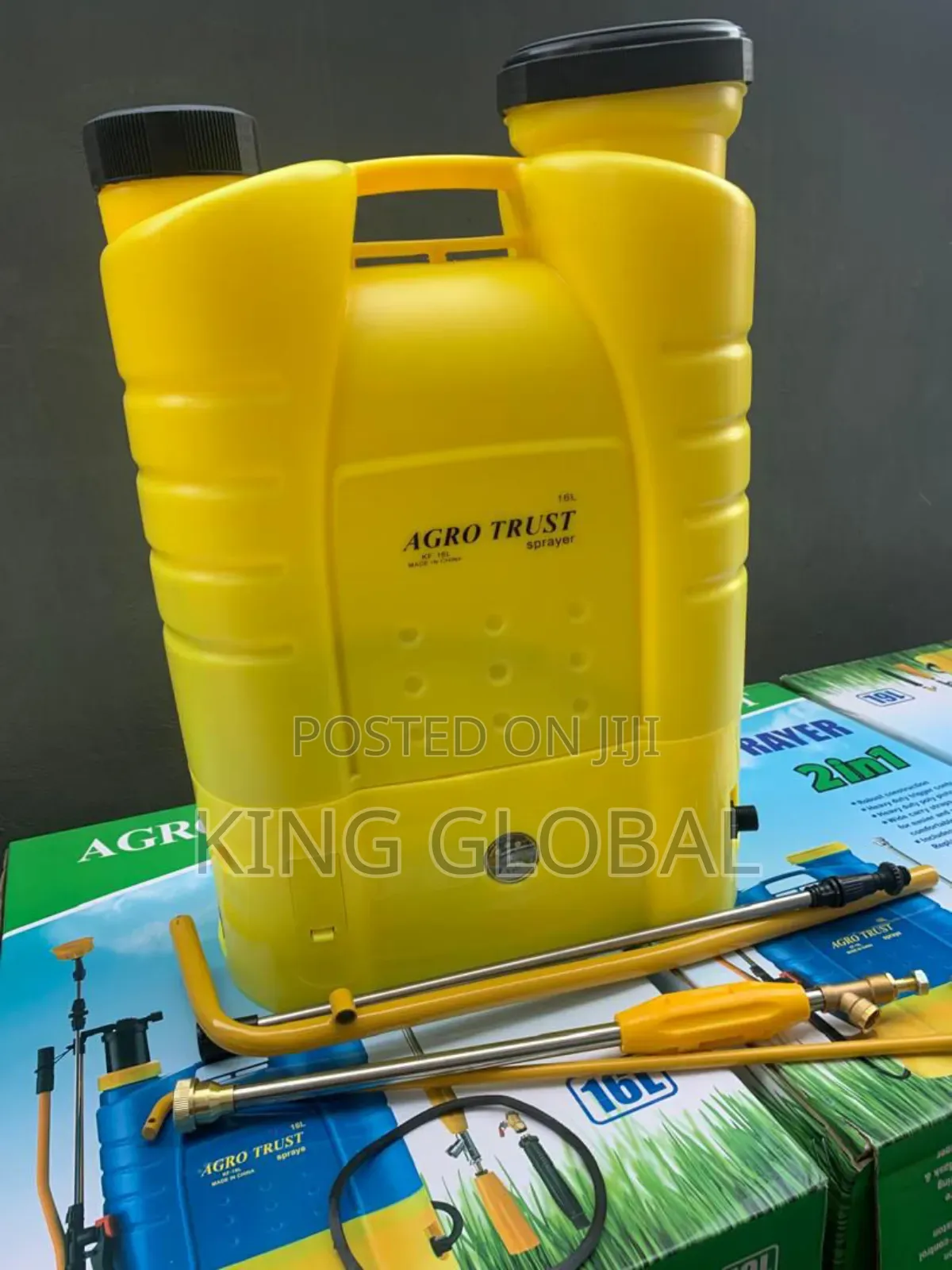2 in 1 Rechargeable Hand/Battery Powered Knapsack Sprayer 16l
