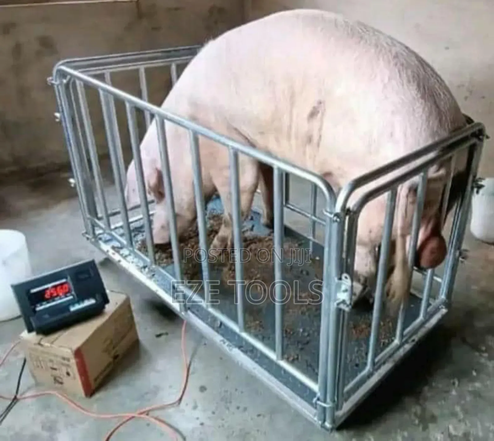 3ton Animal Digital Scale