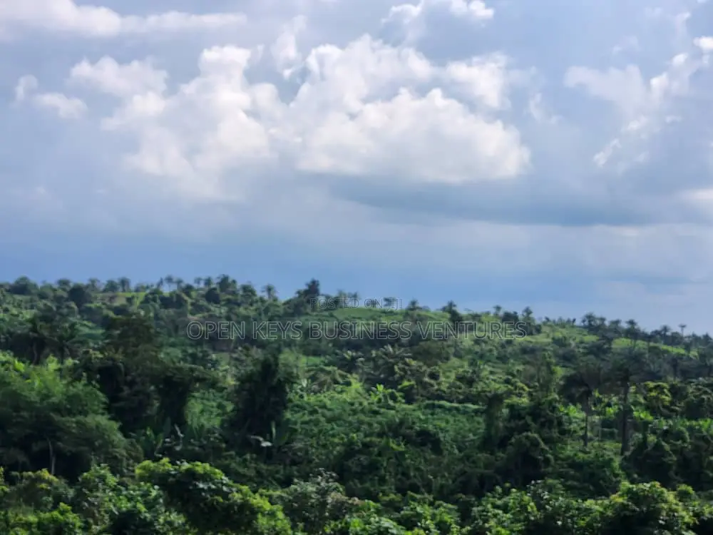 200 Acres on Circular Road in Ibadan