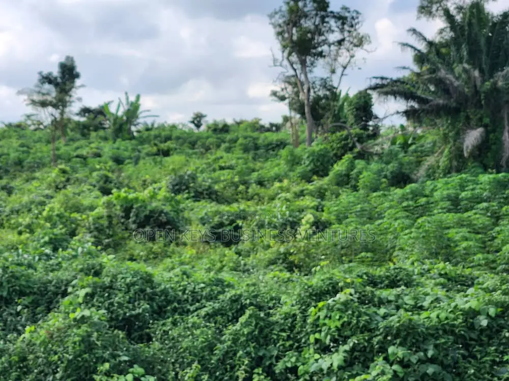 200 Acres on Circular Road in Ibadan