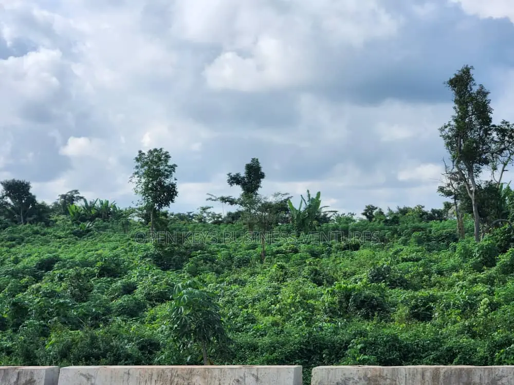 200 Acres on Circular Road in Ibadan