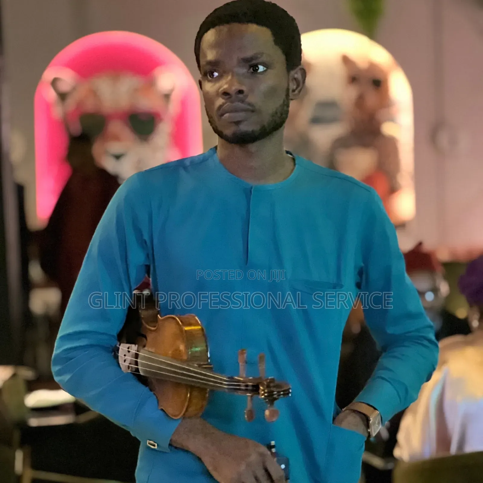 Professional Violinist