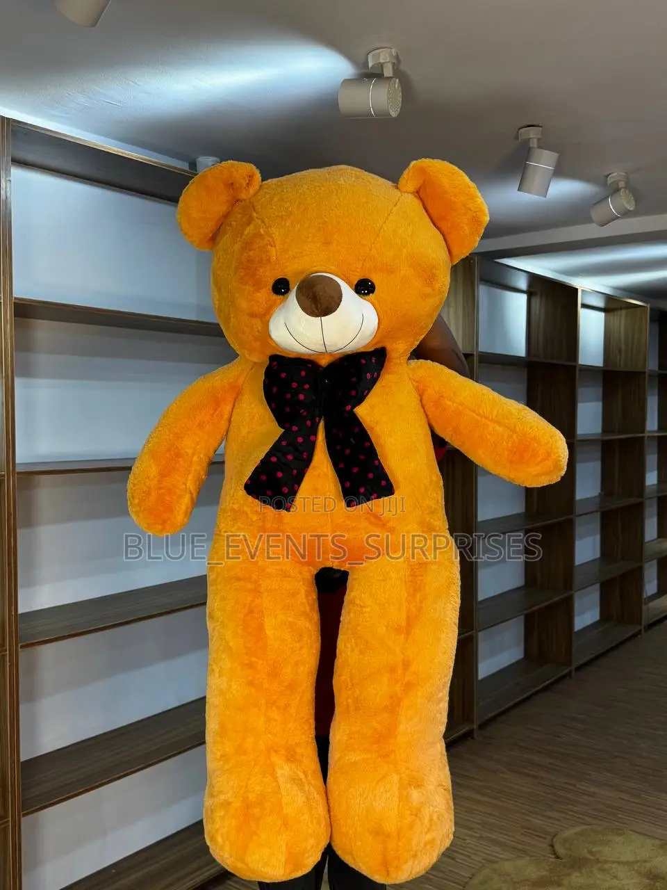 Plush Teddy Bears