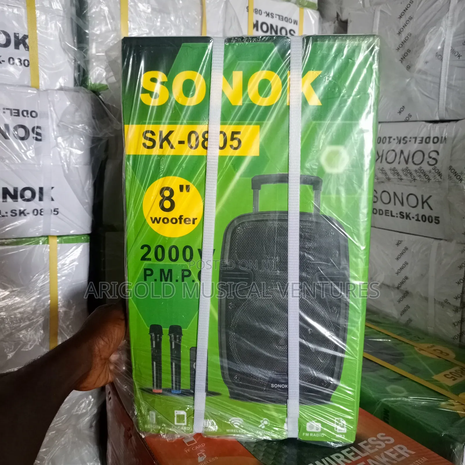Sonok 8 Inches Public Address System With 2 Wireless Mic