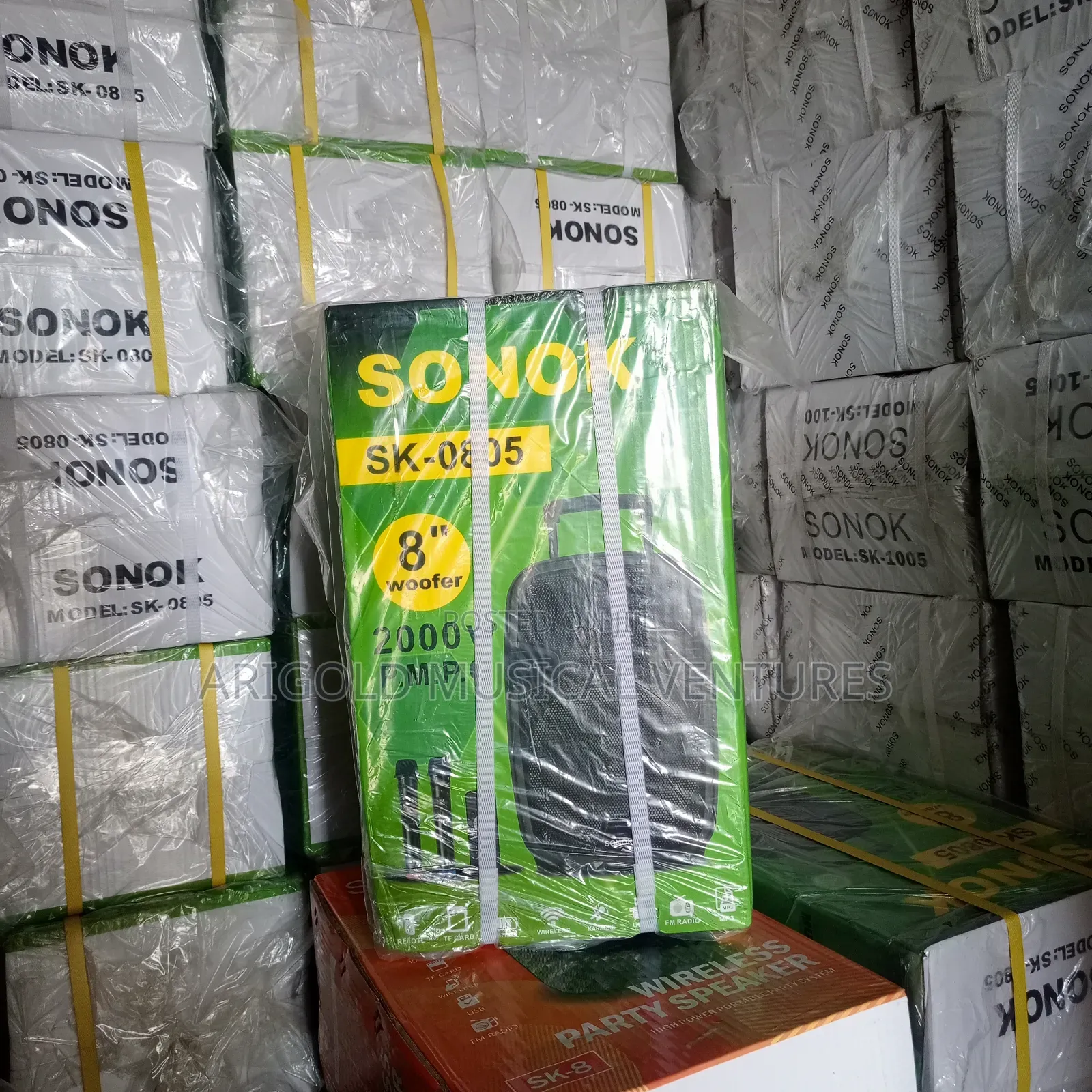 Sonok 8 Inches Public Address System With 2 Wireless Mic