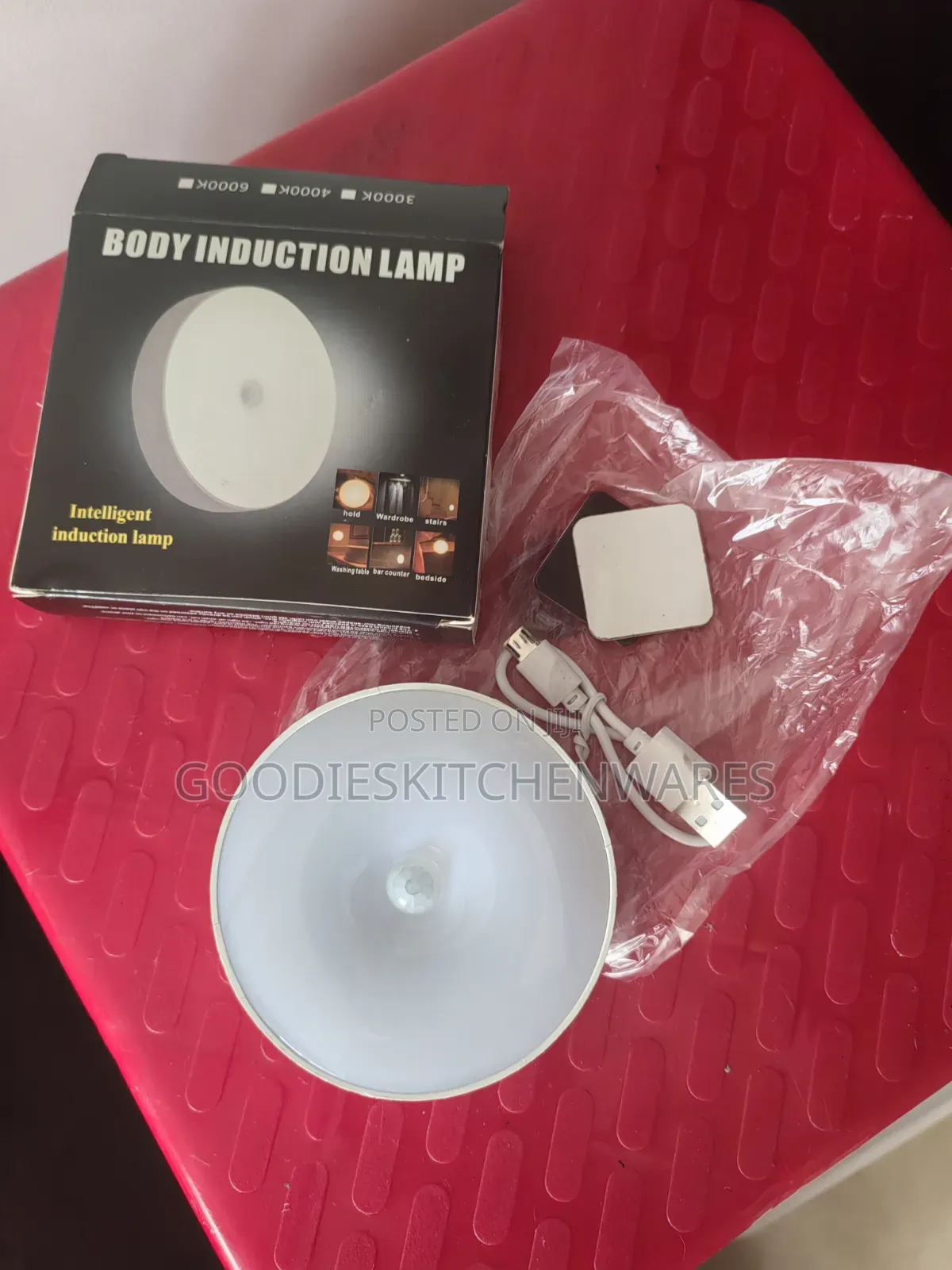 Motion Sensor Body Induction Light