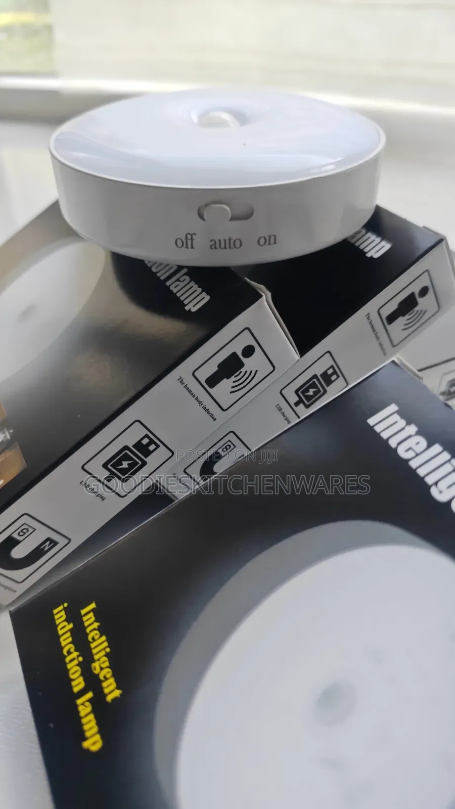Motion Sensor Body Induction Light