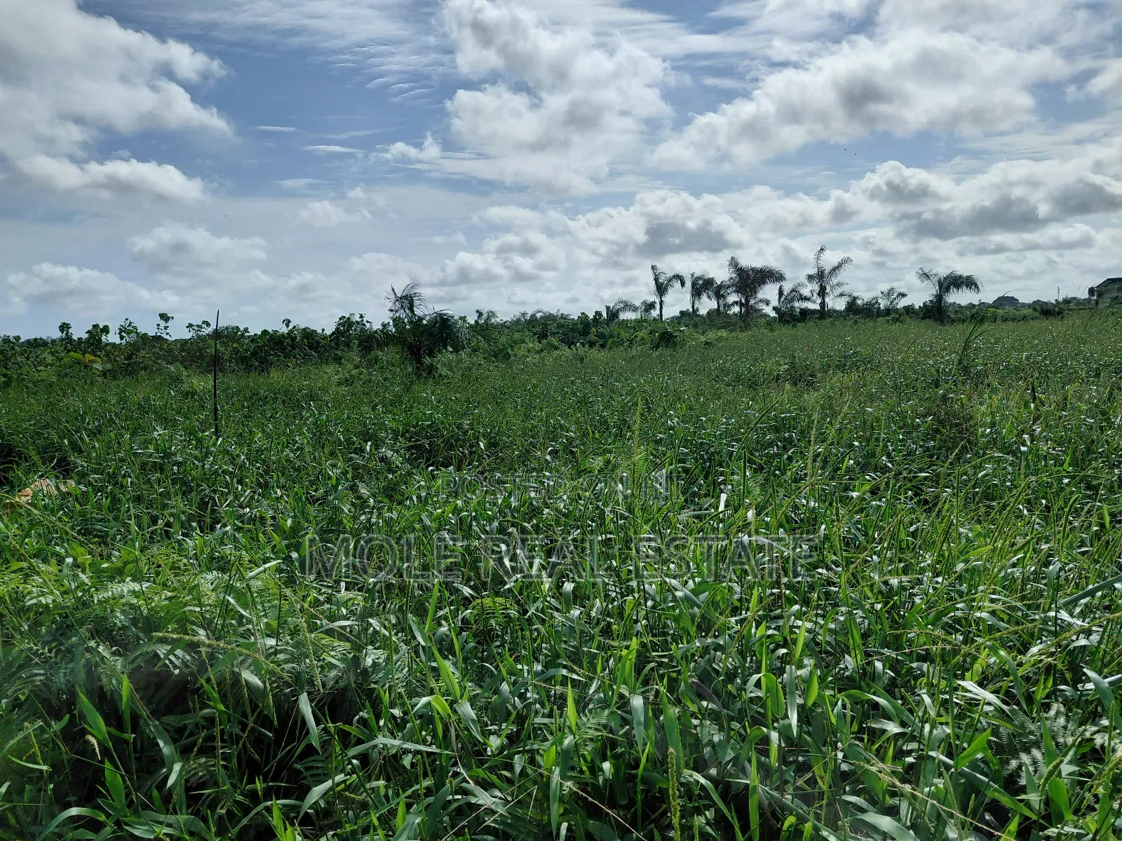 A Plot of Land in Olubode Estate Near Gowon Estate Egbeda Alimosho