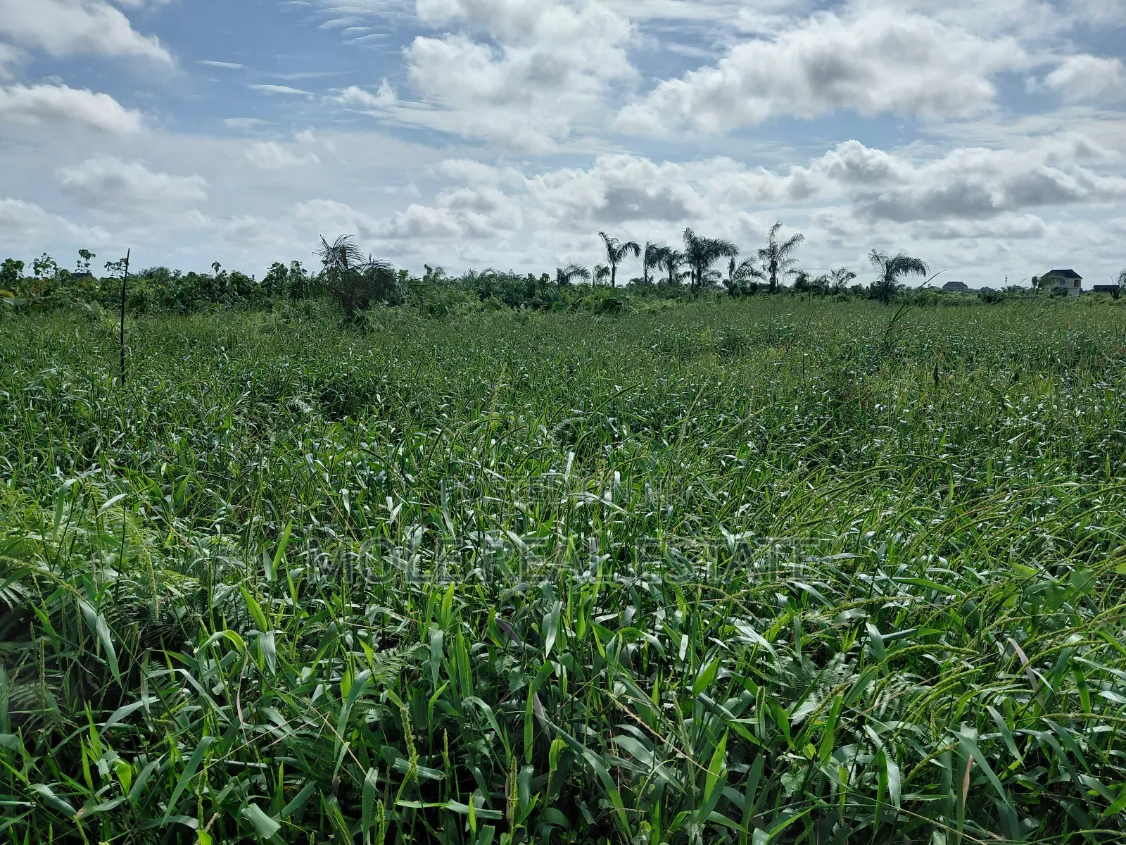 A Plot of Land in Olubode Estate Near Gowon Estate Egbeda Alimosho