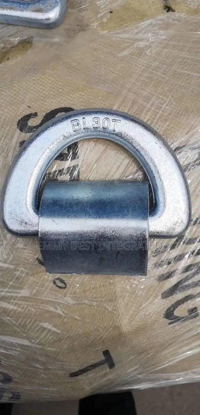 Forged Steel Lashing D-Ring