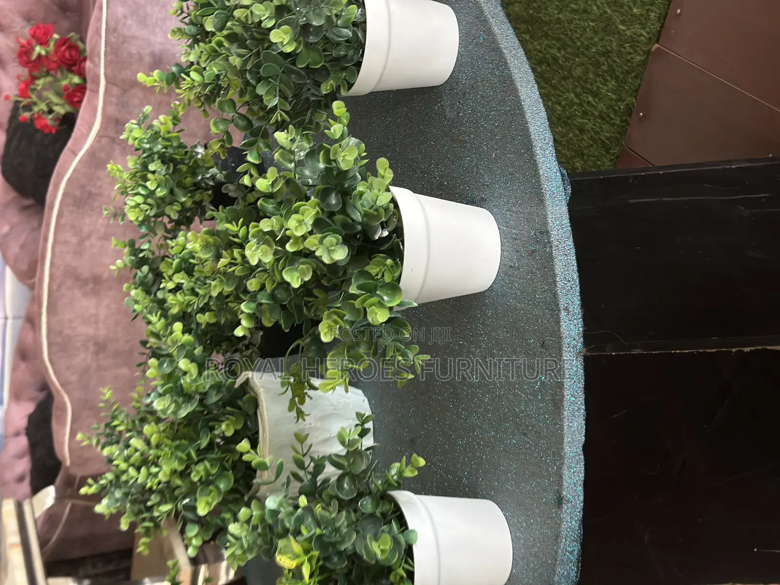 Cup Flowers