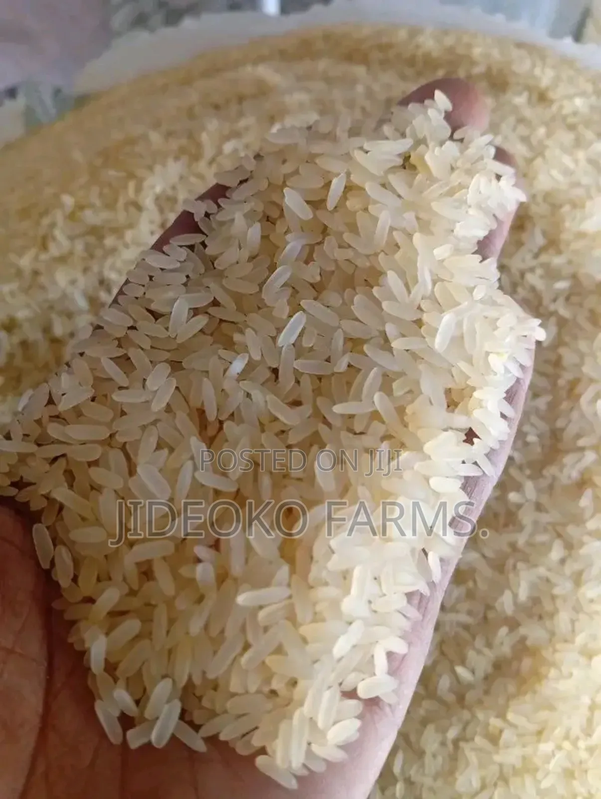 Royal Stallion Rice" 50kg" (12 Half Painters)