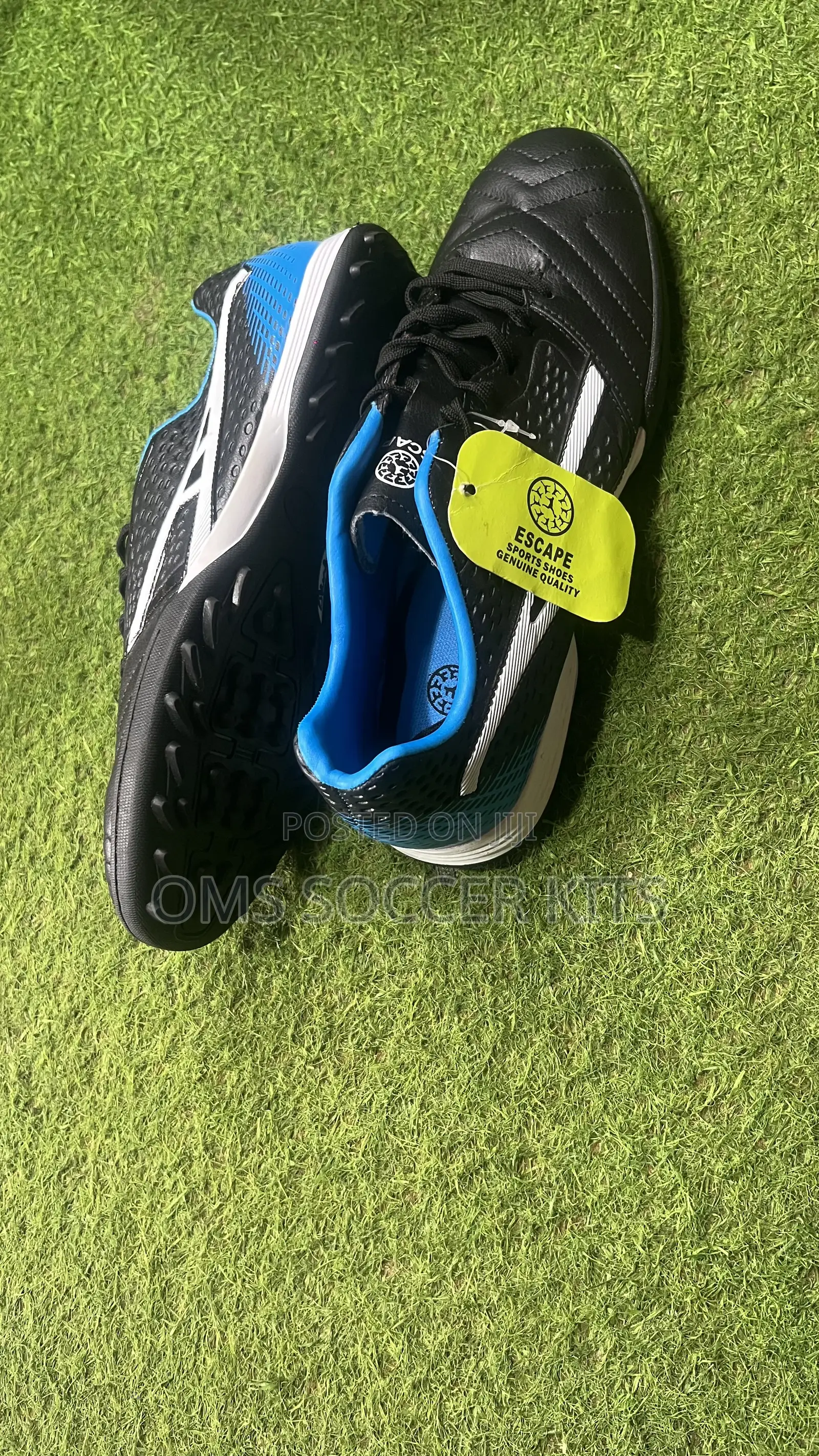 Escape Astroturf Soccer Canvas (43)