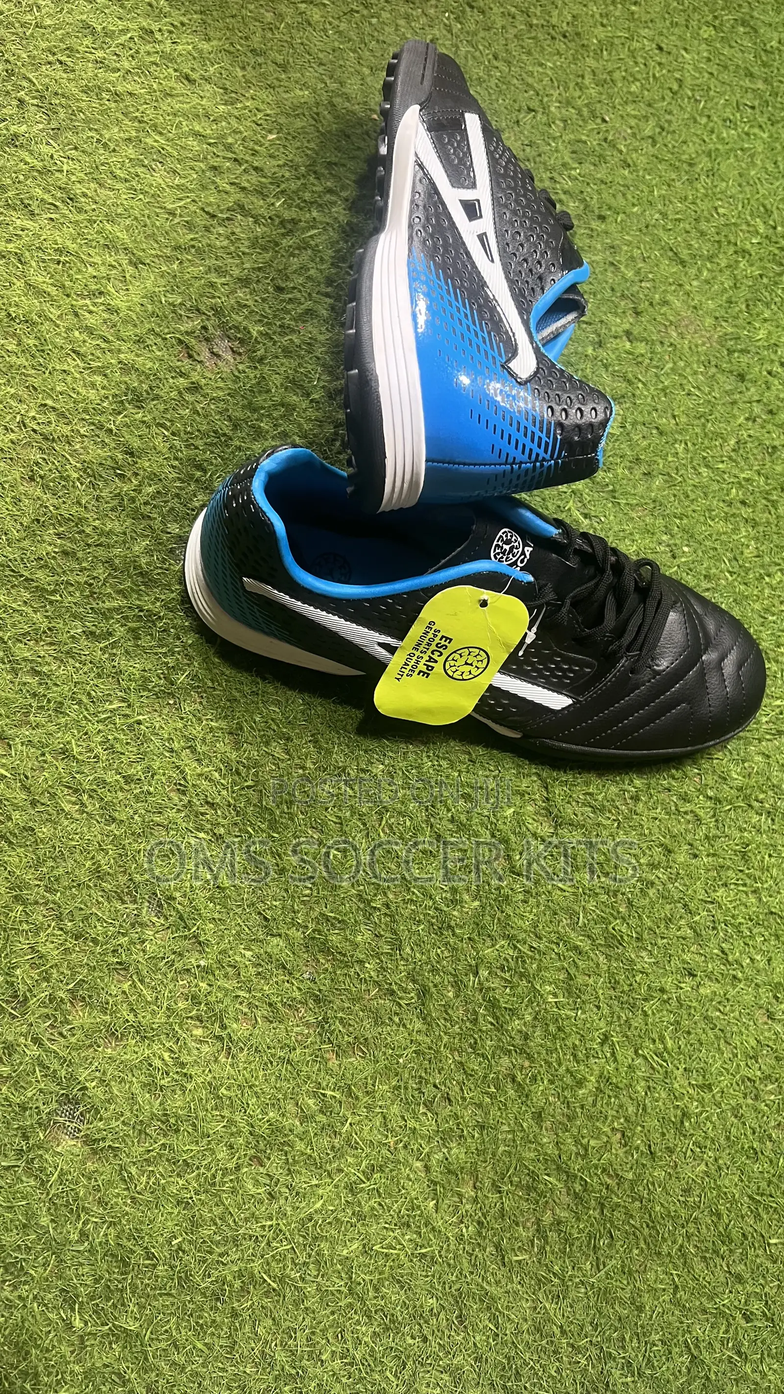 Escape Astroturf Soccer Canvas (43)