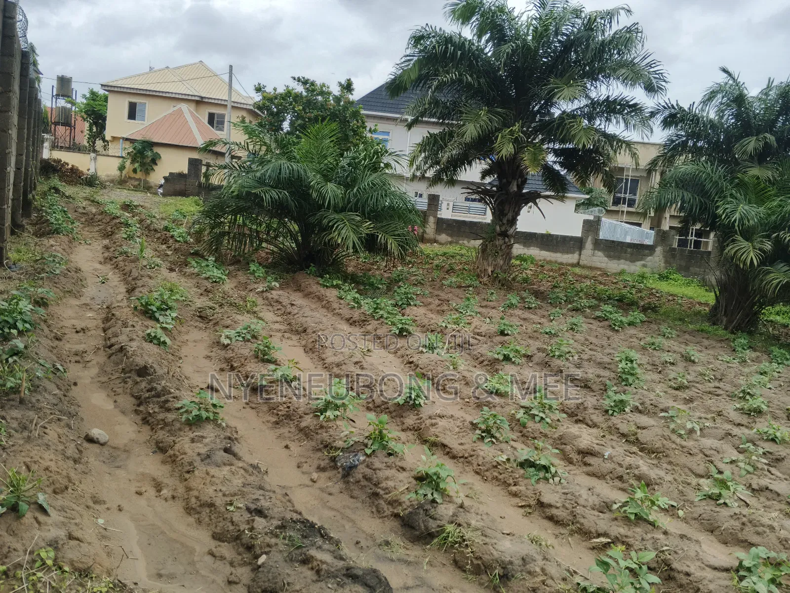 2000sqm. Land for Sale