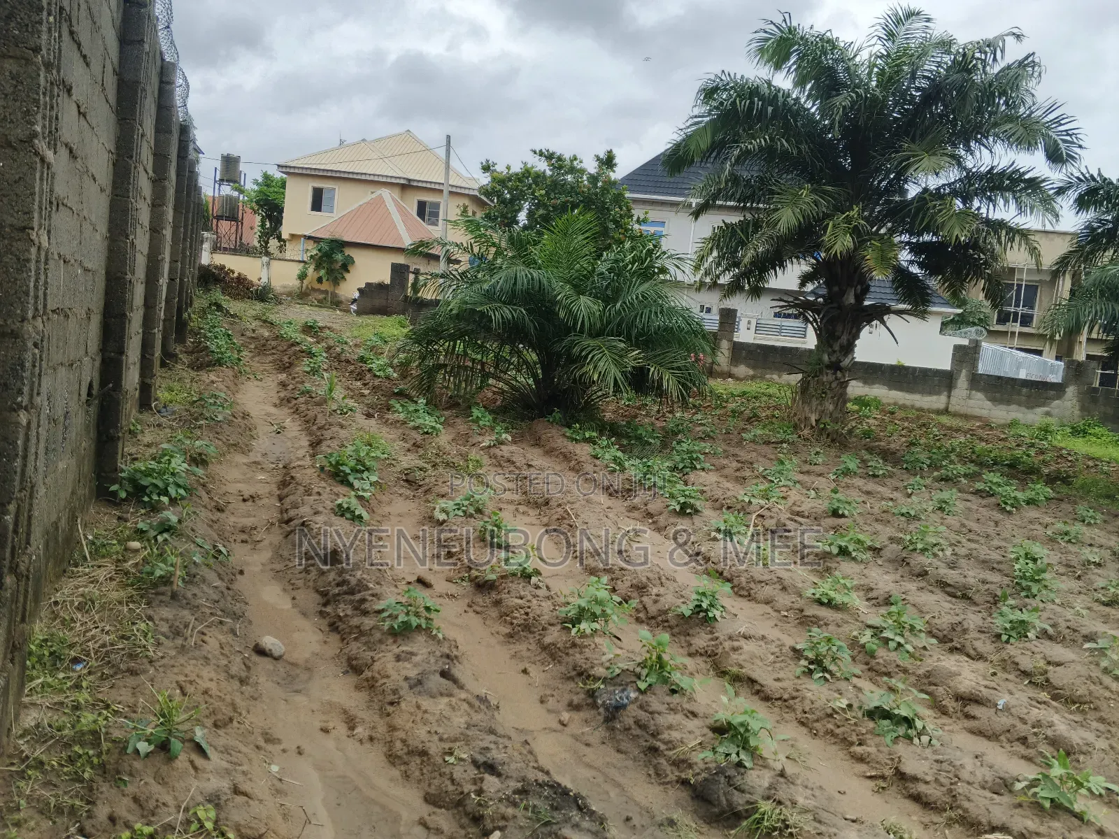 2000sqm. Land for Sale