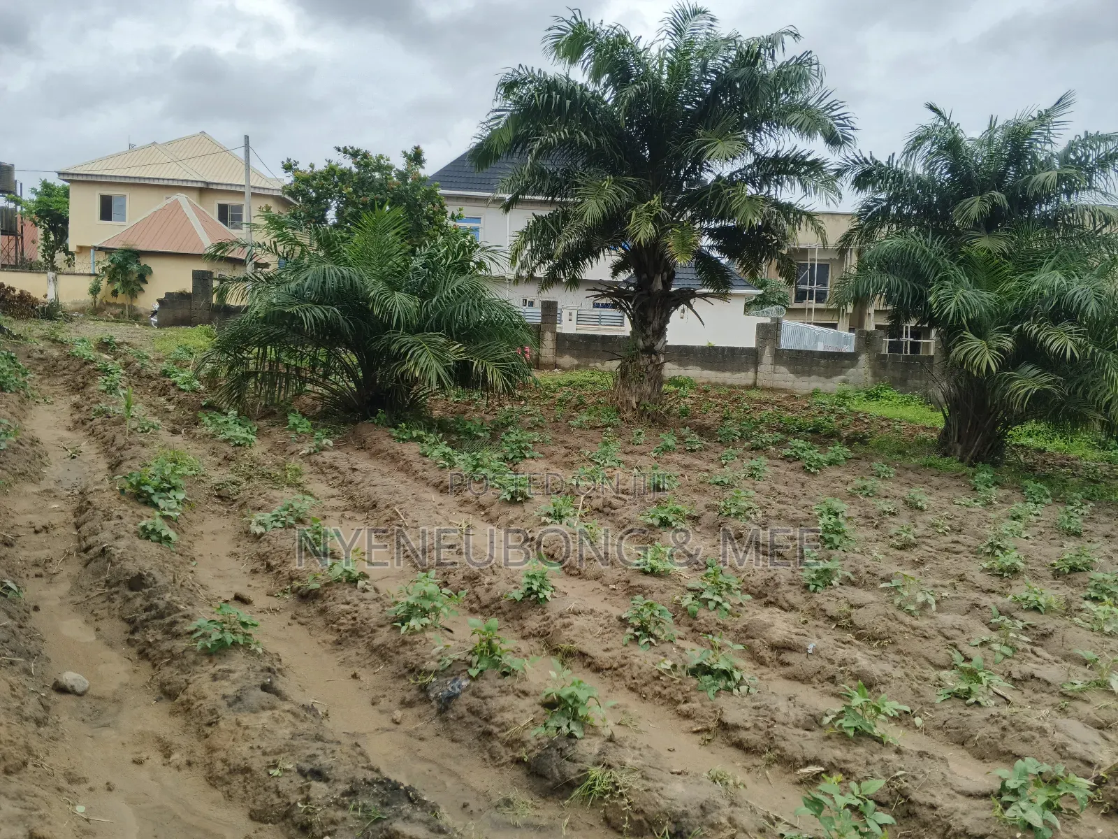 2000sqm. Land for Sale