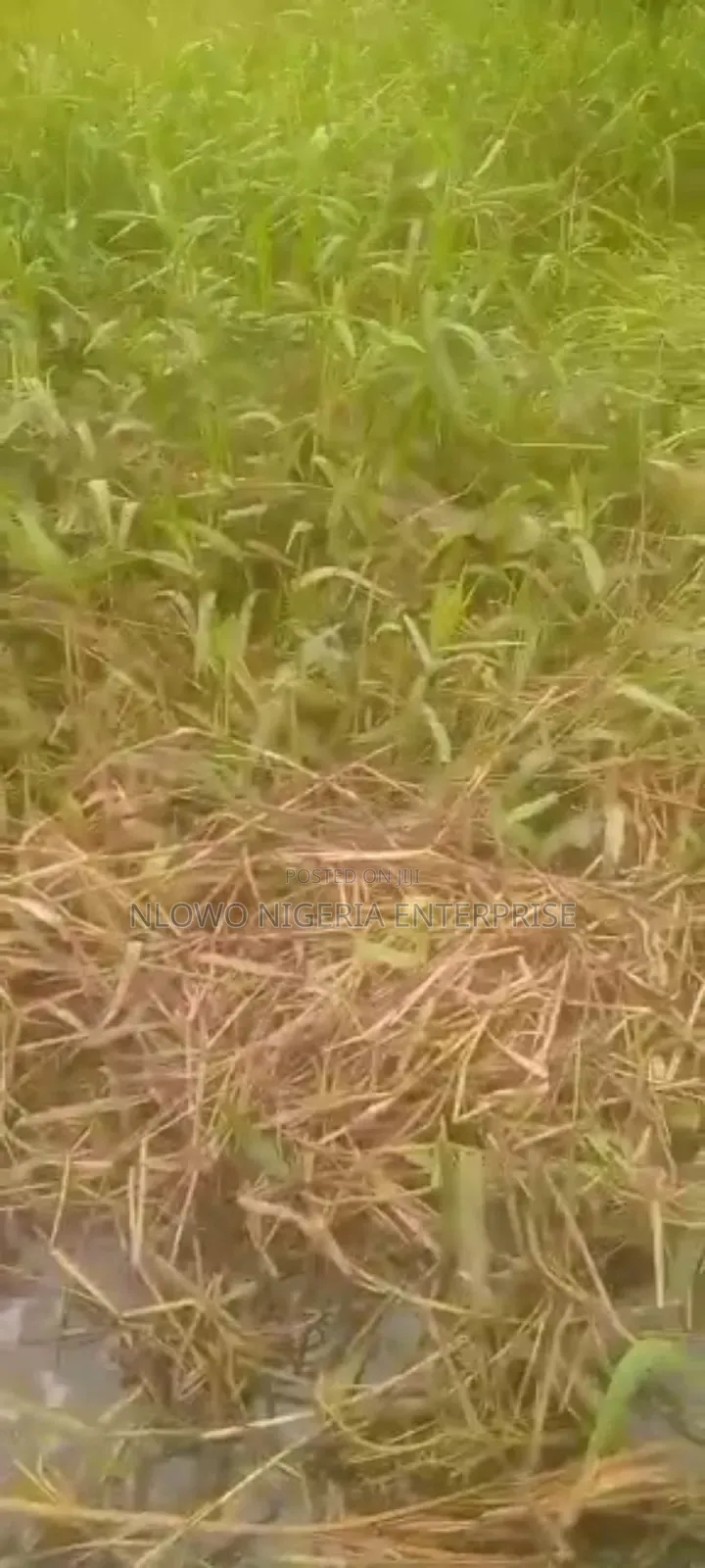 For Sale 1 Acres of Land at Festac Fenced Round