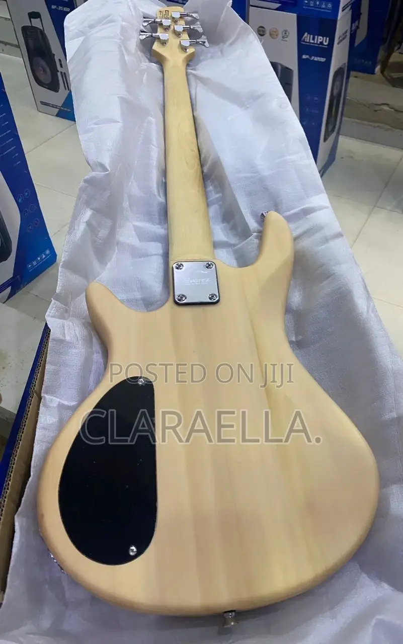 Alvarez Five Strings Electric Bass Guitar
