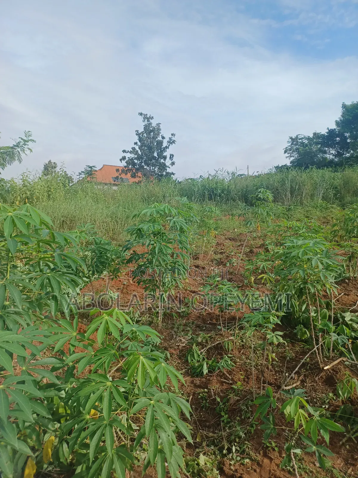 Plot of Land for Sale at Kemta Housing Behind Wolesoyinka House