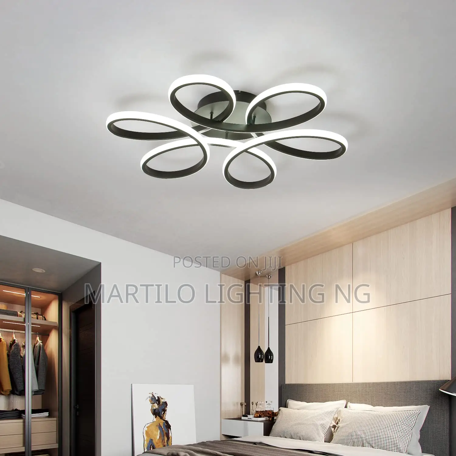 Unique Ceiling Light With Amazing Color Display