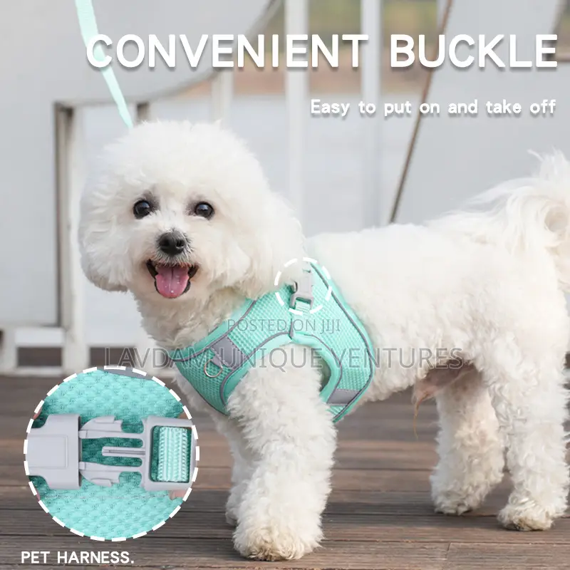 Reflective Plaid Pet Chest Harness and Leash for Small Medium Dogs
