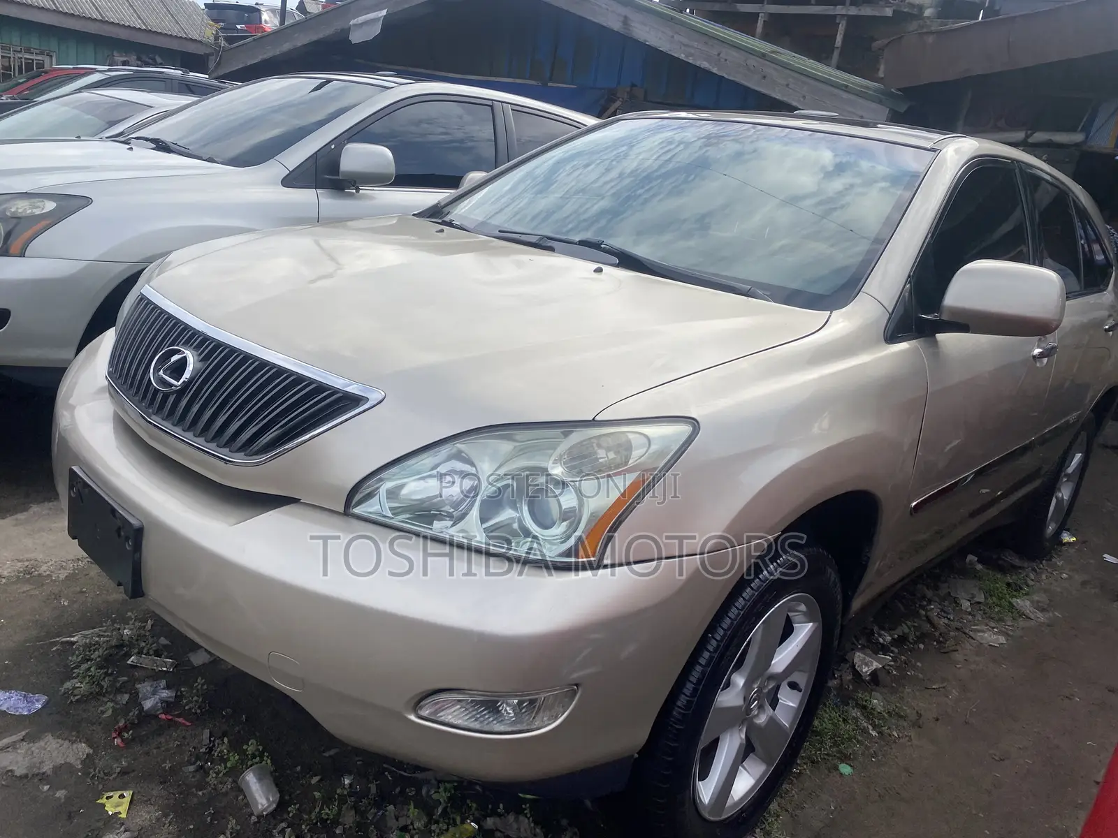 Lexus RX 330 2005 Gold