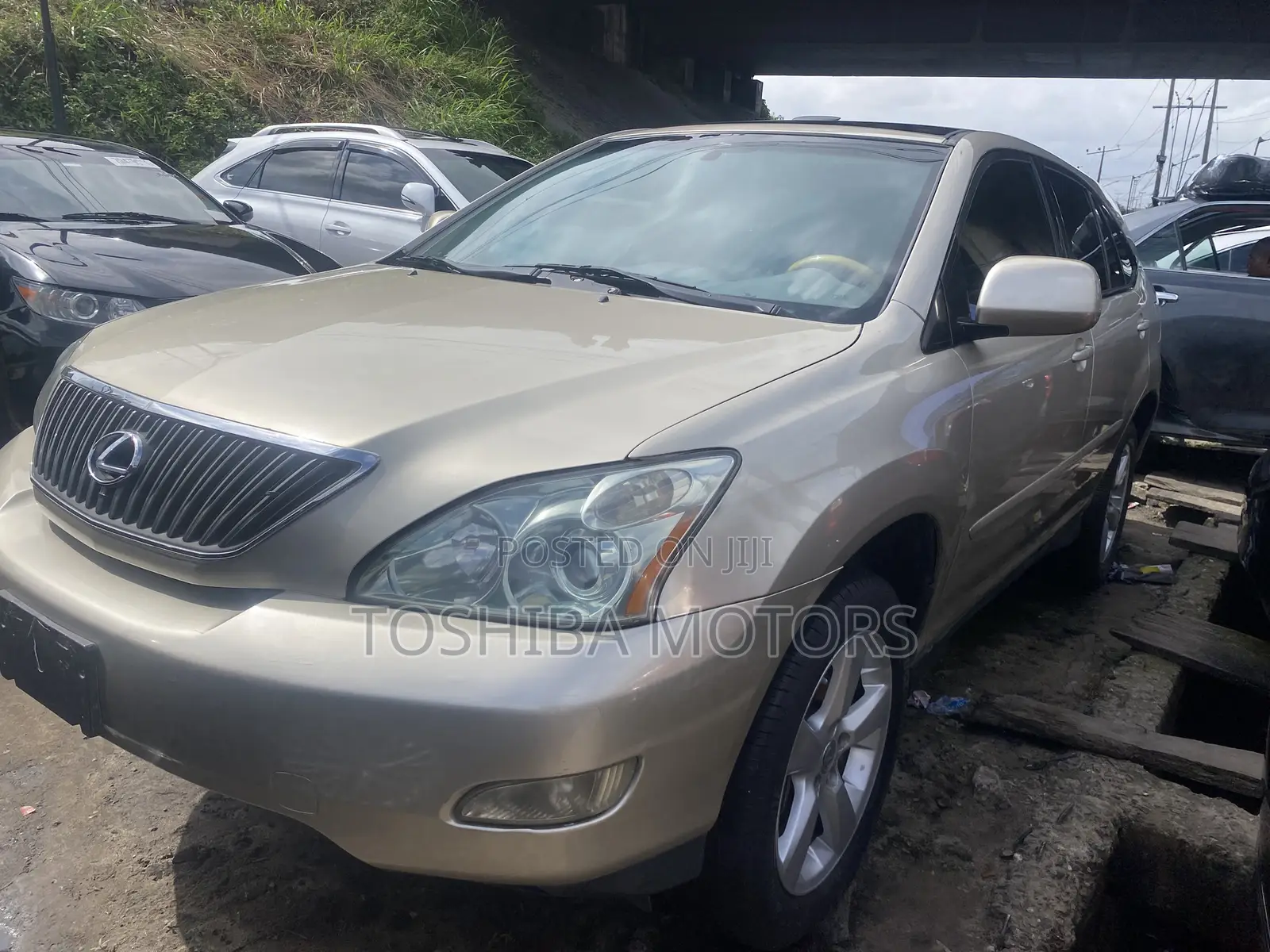 Lexus RX 330 2005 Gold