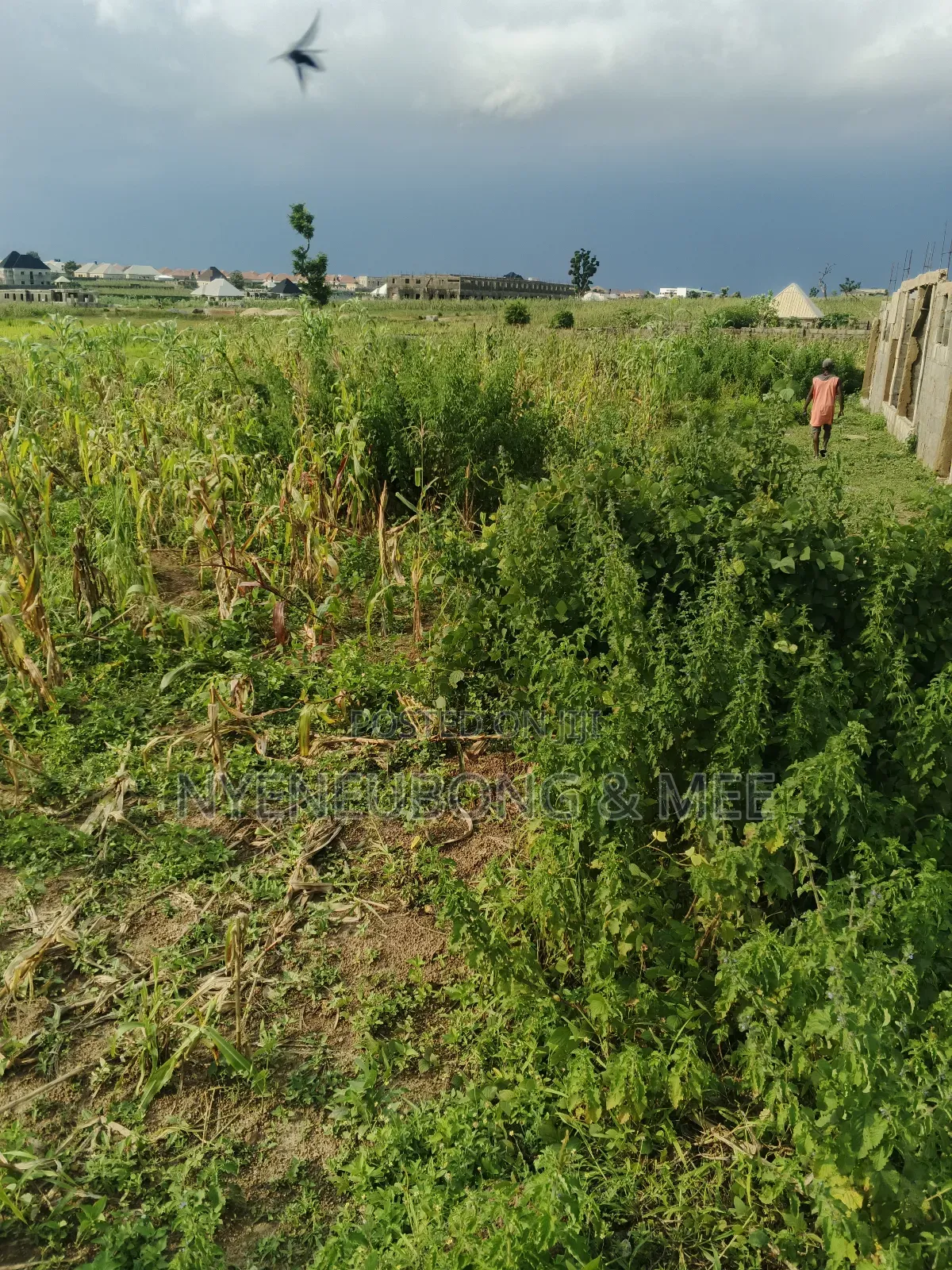 50/100 Land for Sale