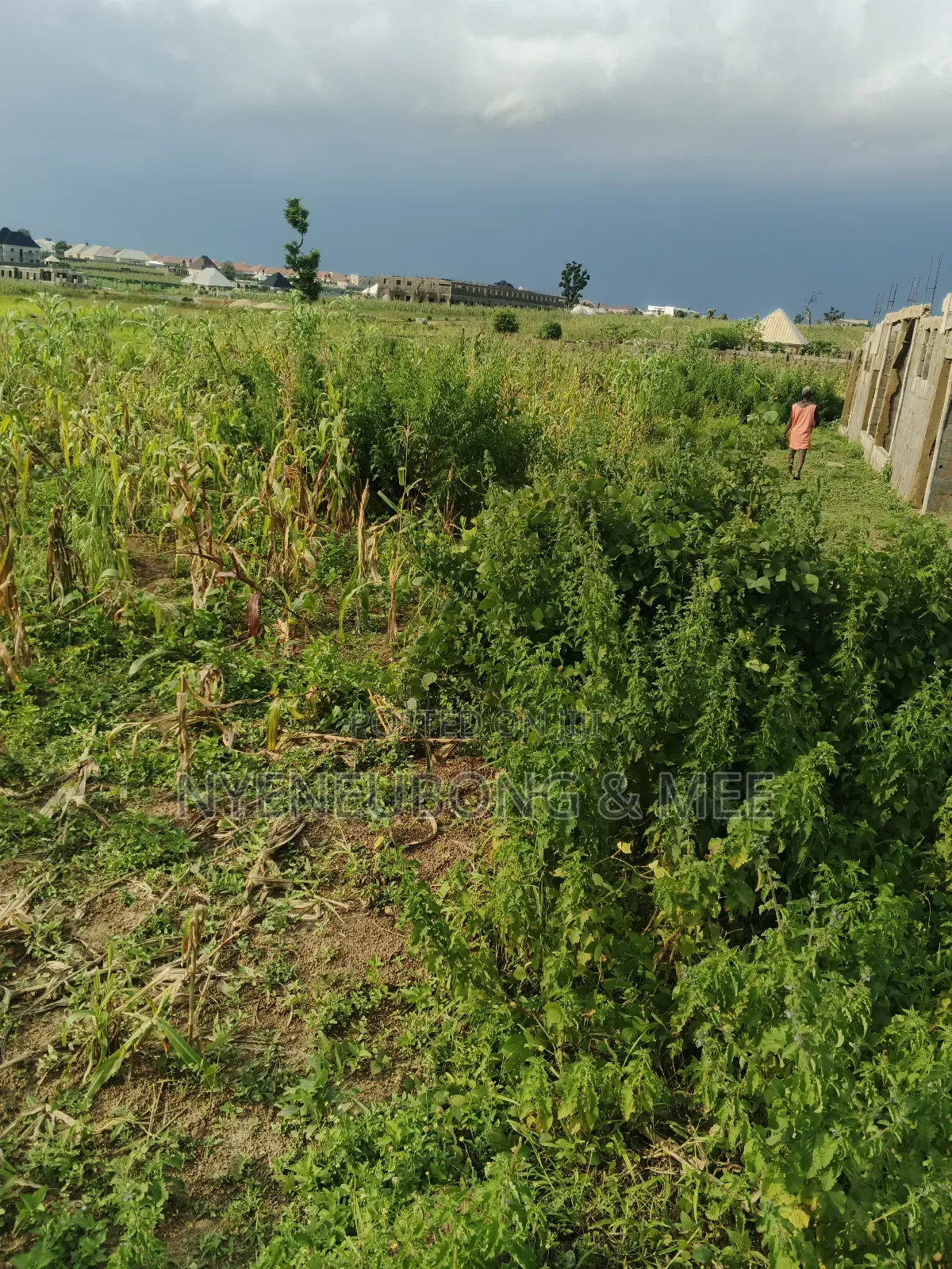 50/100 Land for Sale