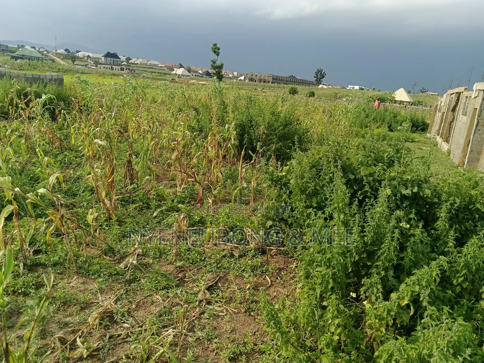 50/100 Land for Sale