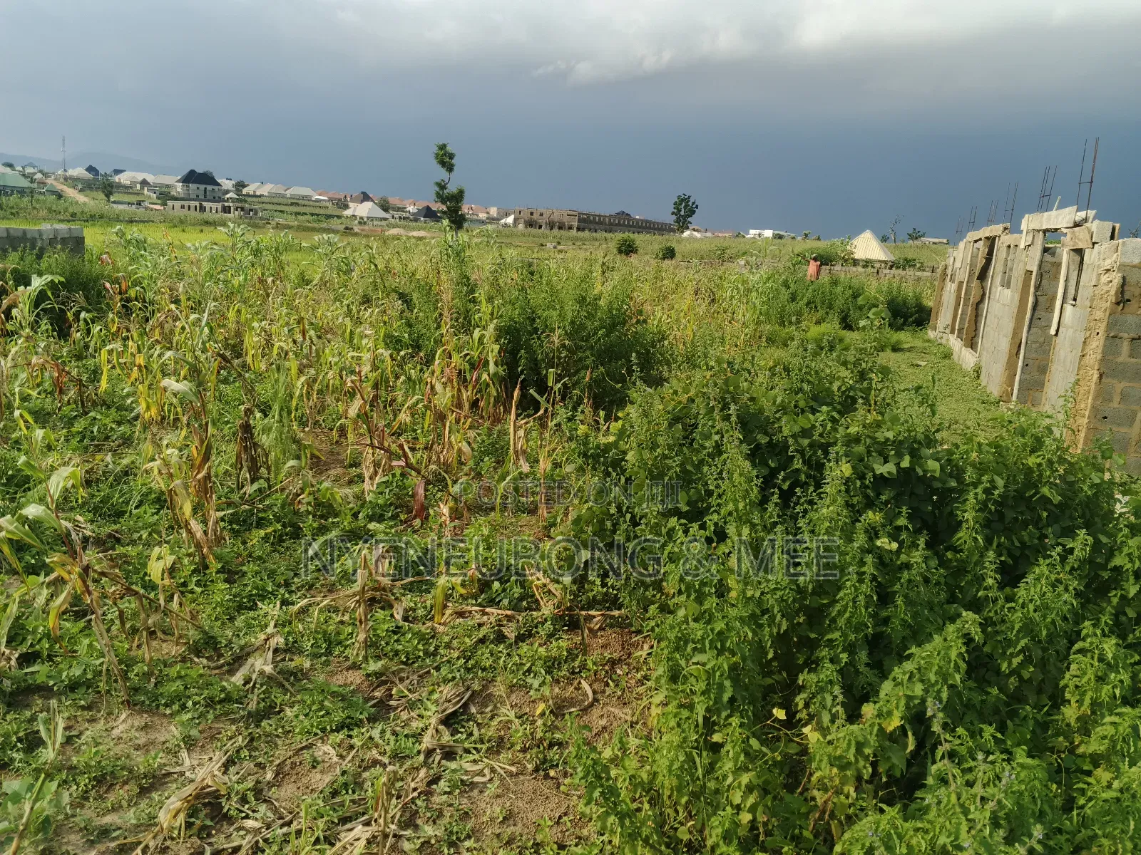 50/100 Land for Sale